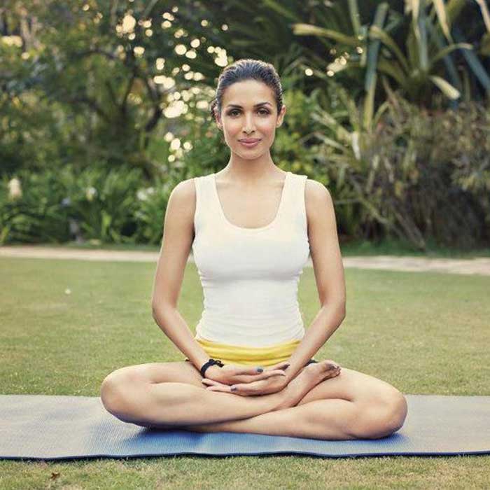 malaika arora yoga